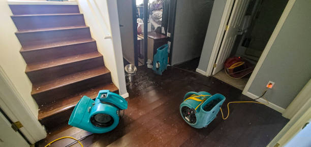 Best Water damage restoration cost  in Hamlet, IN