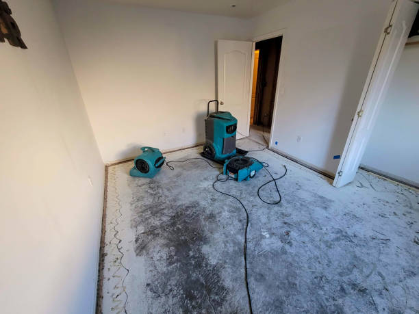 Best Ceiling water damage repair  in Hamlet, IN