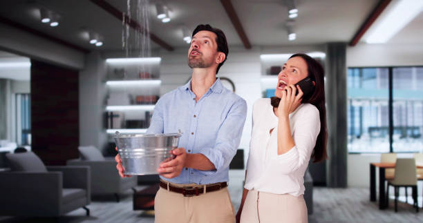 Best Water damage contractors near me  in Hamlet, IN